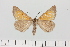  ( - HSS18064)  @11 [ ] Unspecified (default): All Rights Reserved  Unspecified Unspecified
