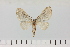  ( - HSS18069)  @11 [ ] Unspecified (default): All Rights Reserved  Unspecified Unspecified