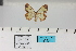  ( - HSS18071)  @11 [ ] Unspecified (default): All Rights Reserved  Unspecified Unspecified