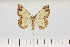  ( - HSS18071)  @11 [ ] Unspecified (default): All Rights Reserved  Unspecified Unspecified