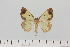  ( - HSS18071)  @11 [ ] Unspecified (default): All Rights Reserved  Unspecified Unspecified