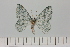  ( - HSS18077)  @11 [ ] Unspecified (default): All Rights Reserved  Unspecified Unspecified