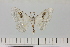  ( - HSS18078)  @11 [ ] Unspecified (default): All Rights Reserved  Unspecified Unspecified