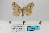  ( - HSS18079)  @11 [ ] Unspecified (default): All Rights Reserved  Unspecified Unspecified