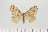  ( - HSS18079)  @11 [ ] Unspecified (default): All Rights Reserved  Unspecified Unspecified