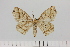  ( - HSS18079)  @11 [ ] Unspecified (default): All Rights Reserved  Unspecified Unspecified