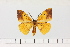 ( - HSS18081)  @11 [ ] Unspecified (default): All Rights Reserved  Unspecified Unspecified