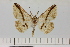  ( - HSS18082)  @11 [ ] Unspecified (default): All Rights Reserved  Unspecified Unspecified