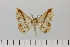  ( - HSS18082)  @11 [ ] Unspecified (default): All Rights Reserved  Unspecified Unspecified