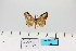  ( - HSS18087)  @11 [ ] Unspecified (default): All Rights Reserved  Unspecified Unspecified