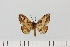  ( - HSS18087)  @11 [ ] Unspecified (default): All Rights Reserved  Unspecified Unspecified