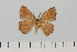 ( - HSS18090)  @11 [ ] Unspecified (default): All Rights Reserved  Unspecified Unspecified