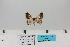  ( - HSS18101)  @11 [ ] Unspecified (default): All Rights Reserved  Unspecified Unspecified
