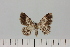  ( - HSS18101)  @11 [ ] Unspecified (default): All Rights Reserved  Unspecified Unspecified