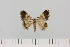 ( - HSS18101)  @11 [ ] Unspecified (default): All Rights Reserved  Unspecified Unspecified