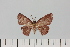  ( - HSS18108)  @11 [ ] Unspecified (default): All Rights Reserved  Unspecified Unspecified