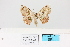  ( - HSS18109)  @11 [ ] Unspecified (default): All Rights Reserved  Unspecified Unspecified