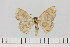  ( - HSS18109)  @11 [ ] Unspecified (default): All Rights Reserved  Unspecified Unspecified