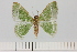  ( - HSS18112)  @11 [ ] Unspecified (default): All Rights Reserved  Unspecified Unspecified