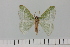  ( - HSS18112)  @11 [ ] Unspecified (default): All Rights Reserved  Unspecified Unspecified