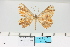  ( - HSS18113)  @11 [ ] Unspecified (default): All Rights Reserved  Unspecified Unspecified