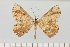  ( - HSS18113)  @11 [ ] Unspecified (default): All Rights Reserved  Unspecified Unspecified