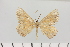  ( - HSS18113)  @11 [ ] Unspecified (default): All Rights Reserved  Unspecified Unspecified