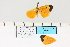  ( - HSS18115)  @11 [ ] Unspecified (default): All Rights Reserved  Unspecified Unspecified