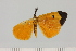  ( - HSS18115)  @11 [ ] Unspecified (default): All Rights Reserved  Unspecified Unspecified