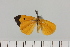  ( - HSS18115)  @11 [ ] Unspecified (default): All Rights Reserved  Unspecified Unspecified