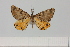  ( - HSS18134)  @11 [ ] Unspecified (default): All Rights Reserved  Unspecified Unspecified
