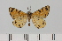  ( - HSS18134)  @11 [ ] Unspecified (default): All Rights Reserved  Unspecified Unspecified