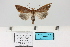  (Mauna filia - HSS18135)  @11 [ ] Unspecified (default): All Rights Reserved  Unspecified Unspecified