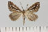  ( - HSS18139)  @11 [ ] Unspecified (default): All Rights Reserved  Unspecified Unspecified