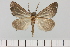  ( - HSS18139)  @11 [ ] Unspecified (default): All Rights Reserved  Unspecified Unspecified