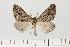  ( - HSS18140)  @11 [ ] Unspecified (default): All Rights Reserved  Unspecified Unspecified