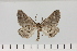  ( - HSS18140)  @11 [ ] Unspecified (default): All Rights Reserved  Unspecified Unspecified