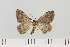  ( - HSS18141)  @11 [ ] Unspecified (default): All Rights Reserved  Unspecified Unspecified