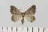  ( - HSS18142)  @11 [ ] Unspecified (default): All Rights Reserved  Unspecified Unspecified