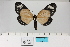  ( - HSS18143)  @11 [ ] Unspecified (default): All Rights Reserved  Unspecified Unspecified