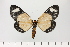  ( - HSS18143)  @11 [ ] Unspecified (default): All Rights Reserved  Unspecified Unspecified