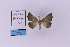  ( - HSS18144)  @11 [ ] Unspecified (default): All Rights Reserved  Unspecified Unspecified