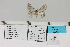  ( - HSS18153)  @11 [ ] Unspecified (default): All Rights Reserved  Unspecified Unspecified