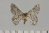  ( - HSS18153)  @11 [ ] Unspecified (default): All Rights Reserved  Unspecified Unspecified