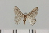  ( - HSS18153)  @11 [ ] Unspecified (default): All Rights Reserved  Unspecified Unspecified