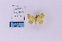  ( - HSS18156)  @11 [ ] Unspecified (default): All Rights Reserved  Unspecified Unspecified