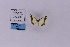  ( - HSS18179)  @11 [ ] Unspecified (default): All Rights Reserved  Unspecified Unspecified