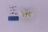  ( - HSS18184)  @11 [ ] Unspecified (default): All Rights Reserved  Unspecified Unspecified
