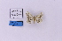  ( - HSS18222)  @11 [ ] Unspecified (default): All Rights Reserved  Unspecified Unspecified