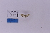  ( - HSS18234)  @11 [ ] Unspecified (default): All Rights Reserved  Unspecified Unspecified